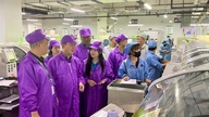 Tăng tốc phát triển đoàn viên trong Tháng Công nhân 2026