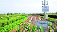 La transformation numérique ouvre la voie à une agriculture verte.