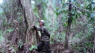 ¿Qué es exactamente el "espíritu del bosque" del que se rumorea en la región de U Minh Ha, en la provincia de Ca Mau, y cuál es su verdadera naturaleza: una criatura de gran tamaño?