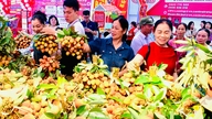 Vải thiều Thanh Hà lên kệ hệ thống Siêu thị GO! Việt Nam