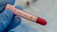 Le ministère de la Santé demande un renforcement des mesures visant à prévenir le risque d'entrée du virus Ebola au Vietnam.