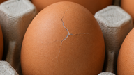 Bør du spise egg med sprukket skall? Eksperter advarer om en lite lagt merke til risiko.