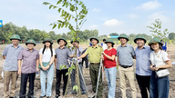 The season of "green planting"