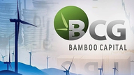 O destino das ações da Bamboo Capital
