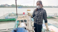 I et eksperiment med opdræt af fisk, der "svømmer som ubåde" i bure under floden, opdrættede landmænd i Bac Ninh-provinsen kun enorme fisk som disse.