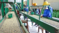 Élaboration des plans, organisation de leur mise en œuvre et gestion des fonds nationaux de promotion industrielle.