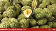 Durian vauhdittaa edelleen Vietnamin maatalousvientiä.