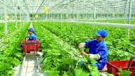 Mở rộng chính sách hỗ trợ doanh nghiệp nhỏ và vừa chuyển đổi từ hộ kinh doanh