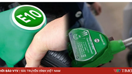 Vilka typer av fordon är kompatibla med E10-bensin?
