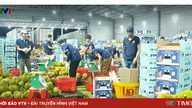 Vietnam øger gennemsigtigheden i forsyningskæden for landbrugsprodukter, der eksporteres til Kina.