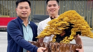Tehnici magistrale pentru crearea de bonsai din sârmă.