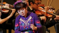 Mange folkekunstnere og fortjenstfulde kunstnere genskaber portrætter af Vietnam gennem musik.