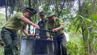 Da Nang vahvistaa luonnonsuojelua estäen laittoman metsästyksen ja eläinten luvattoman vapauttamisen.