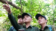 Nâng cao hiệu quả dịch vụ môi trường rừng