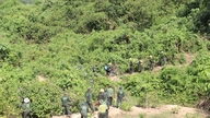 Metsien suojelu kestävän kehityksen edistämiseksi.