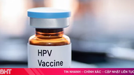 HPV-vaccinen vil blive inkluderet på listen over gratis vaccinationer fra den 1. juli.