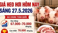 Sianlihan hinta tänään, 27. toukokuuta 2026: Dong Nai ja Hung Yen pysyvät 70 000 VND/kg:ssa.