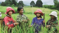 Proposta di un piano per l'assegnazione regolare di fondi destinati allo sviluppo rurale, alla riduzione della povertà e alle aree abitate da minoranze etniche.