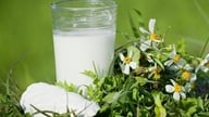 暑い日に体を冷やし、水分補給に役立つ飲み物10選。