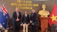 Australian suurin riisinjakelija laajentaa investointejaan Vietnamissa.