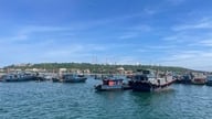 Myndighederne i Hai Phong leder akut efter og redder et skib i havsnød.