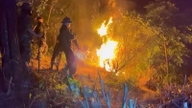 מחוז נגה אן פרסם אזהרת שריפות יער בסיכון גבוה ביותר מ-100 קומונות ורובעים.