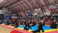 Qwan Ki Do - Jambatan yang membawa budaya dan produk Vietnam ke dunia.
