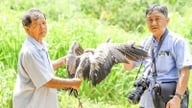 Der weitläufige Garten in der Provinz Vinh Long, der von Reihern und seltenen Vögeln wimmelt, soll langfristig geschützt, erhalten und weiterentwickelt werden.