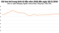 Ceny wieprzowiny dzisiaj, 28 maja: Ceny w całym kraju spadają poniżej 70 000 VND/kg.
