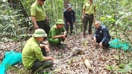 Posílení ochrany biodiverzity a vodních zdrojů v Gia Lai.