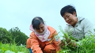 Cuando los agricultores entran al "mercado digital"