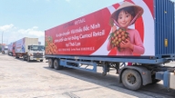Litchi fra Bac Ninh har bred adgang til moderne detailhandelssystemer.
