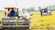 Delta Mekong menghadapi banyak paradoks pembangunan.