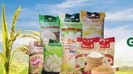Рис Hapro Dong Thap – повышение узнаваемости бренда вьетнамской сельскохозяйственной продукции.
