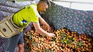 Højdepunkter fra Vietnams økonomiske nyheder den 28. maj 2026