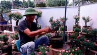 Fermierii au petrecut decenii realizându-și visul de a dezvolta industria florilor din Vietnam.