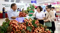 Det samlede detailsalg af varer og tjenesteydelser i Hai Phong steg med 15,3 % i de første fem måneder.