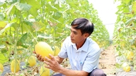 कृषि सहकारी समितियों को जोड़ना