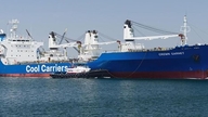 Med forstyrret transport af køleopbevaring står den globale eksport af druer og bær over for et betydeligt pres.