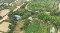 पर्यावरण अनुकूल कृषि पद्धतियाँ - जलवायु परिवर्तन के अनुकूलन का एक समाधान।