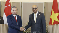 Generalsekreterare och president To Lam höll samtal med Singapores president Tharman Shanmugaratnam.