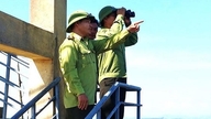 Beskytter skoven mod skovbrande midt i den brændende hede i det centrale Vietnam.