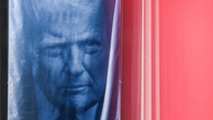 Hovedårsagen til, at Trump-administrationen sagsøger fire demokratiske stater.