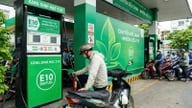 Chiar înainte de termenul limită, Ministerul Industriei și Comerțului a solicitat producătorilor de automobile să evalueze benzina E10.