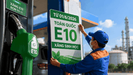 שימוש בבנזין E10 החל מ-1 ביוני: הכנת תרחישים טכניים והגנה על זכויות הצרכן.
