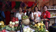 Son La: Eksport af 30 tons mangoer til Sydkorea på Yen Chau Mango Festival.