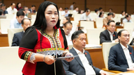 សមភាពយេនឌ័រនៅប្រទេសវៀតណាមបន្ទាប់ពី ៤០ ឆ្នាំនៃការកែទម្រង់៖ សមិទ្ធផលដែលបដិសេធការបង្ខូចទ្រង់ទ្រាយ។