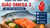 Tämä kallis kalalaji, joka on runsaasti omega-3-rasvahappoja, on erittäin hyväksi sydän- ja verisuoniterveydelle.