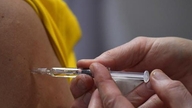 Las inyecciones contra el cáncer erradican por completo los tumores en tan solo unas semanas.