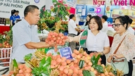Thanh Ha-litchier kommer på supermarkedshylderne i hele landet.